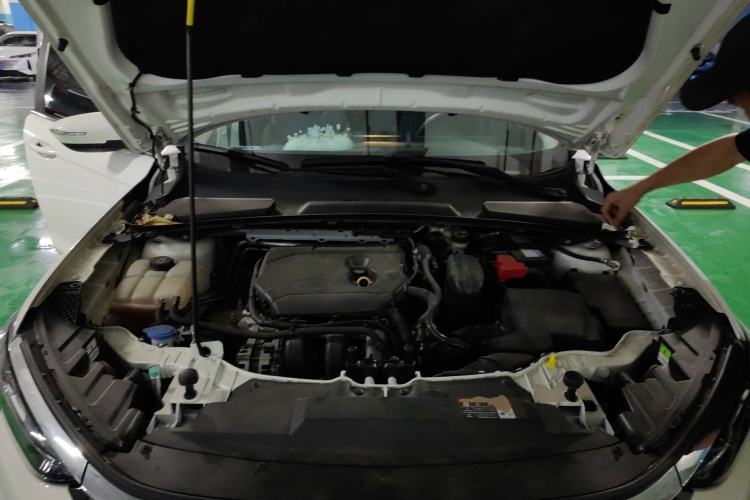 Used Ford Escort 2021 1.5L Automatic Diamond Edition Engine Bay