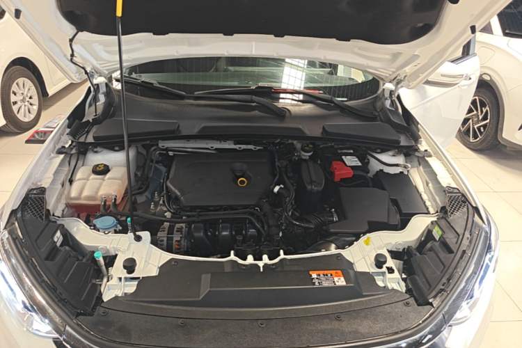 Used Ford Escort 2021 1.5L Automatic Diamond Edition Engine Bay