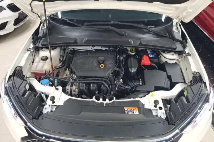 Used Ford Escort 2021 1.5L Automatic Diamond Edition Engine Bay