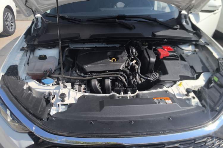 Used Ford Escort 2021 1.5L Automatic Diamond Edition Engine Bay