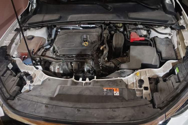 Used Ford Escort 2021 1.5L Automatic Diamond Edition Engine Bay