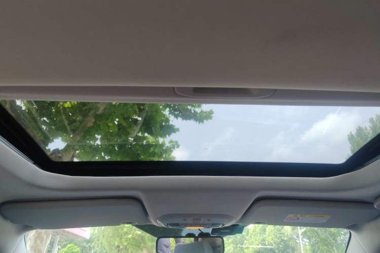 Used Ford Escort 2021 1.5L Automatic Diamond Edition Headliner