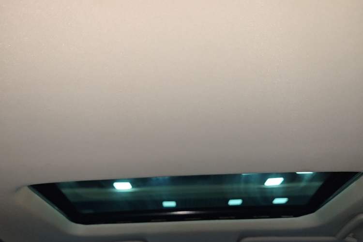 Used Ford Escort 2021 1.5L Automatic Platinum Edition Headliner