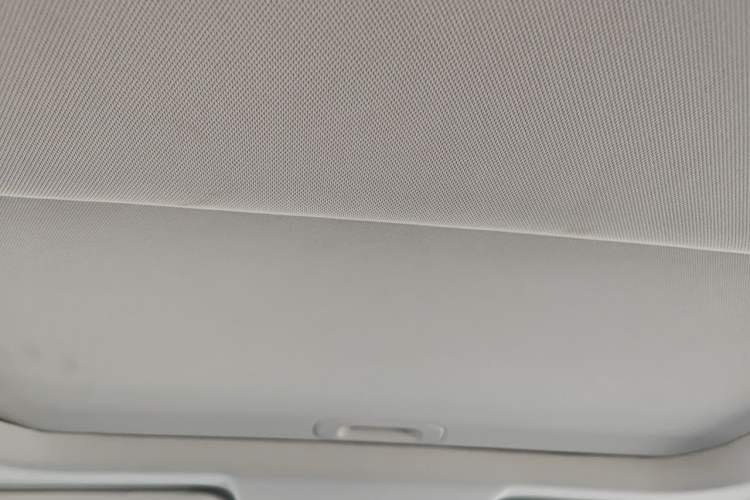 Used Ford Escort 2021 1.5L Automatic Diamond Edition Headliner