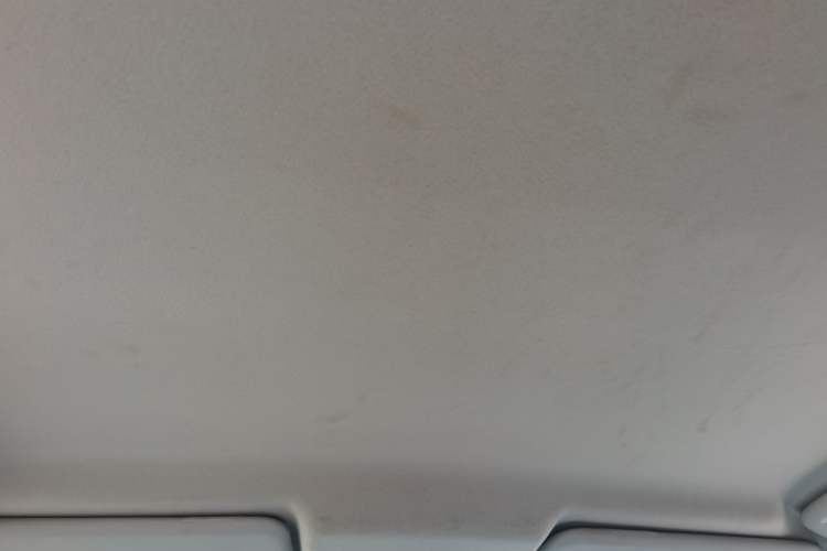Used Ford Escort 2021 1.5L Automatic Gold Edition Headliner