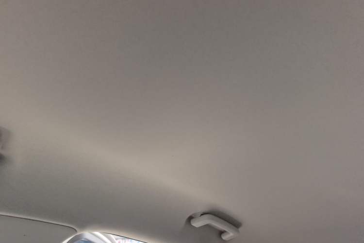 Used Ford Escort 2021 1.5L Automatic Gold Edition Headliner
