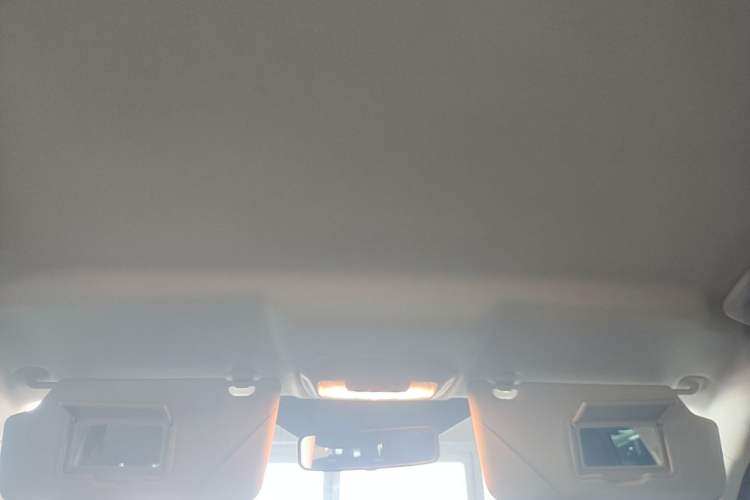 Used Ford Escort 2021 1.5L Automatic Gold Edition Headliner