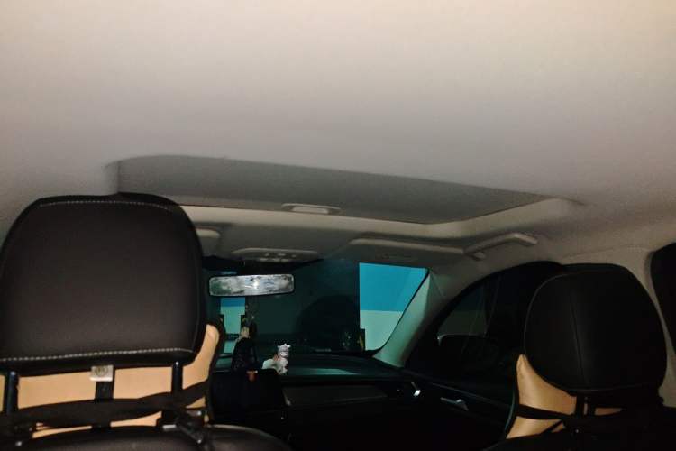 Used Ford Escort 2021 1.5L Automatic Diamond Edition Headliner