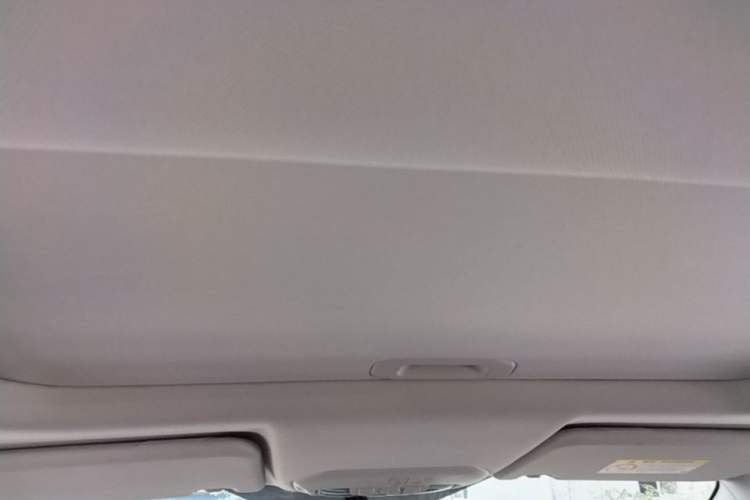 Used Ford Escort 2021 1.5L Automatic Diamond Edition Headliner