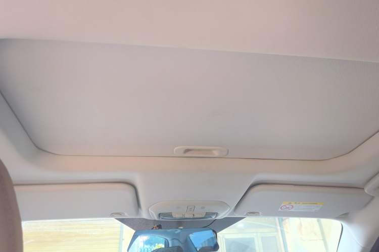 Used Ford Escort 2021 1.5L Automatic Diamond Edition Headliner