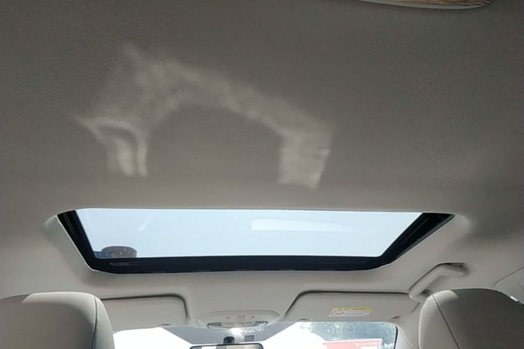 Used Ford Escort 2021 1.5L Automatic Diamond Edition Headliner