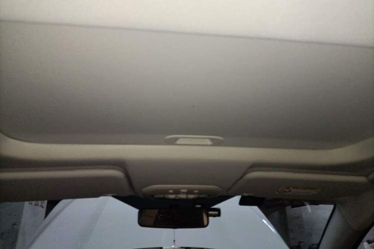 Used Ford Escort 2021 1.5L Automatic Platinum Edition Headliner