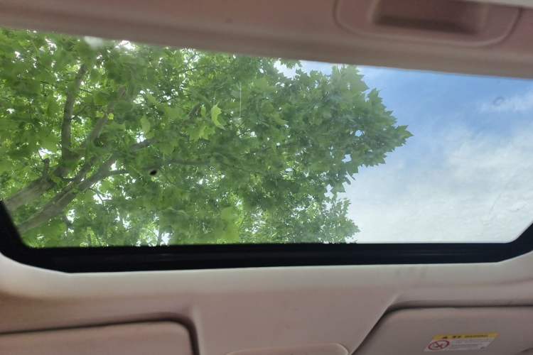 Used Ford Escort 2021 1.5L Automatic Diamond Edition Headliner