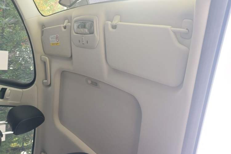 Used Ford Escort 2021 1.5L Automatic Diamond Edition Headliner