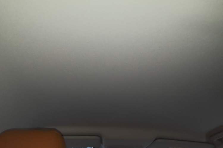 Used Ford Escort 2021 1.5L Automatic Gold Edition Headliner