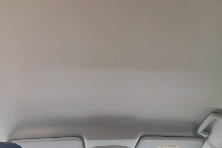 Used Ford Escort 2021 1.5L Automatic Gold Edition Headliner