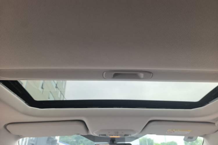 Used Ford Escort 2021 1.5L Automatic Diamond Edition Headliner