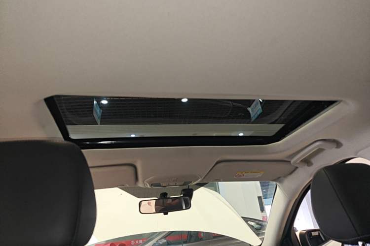 Used Ford Escort 2021 1.5L Automatic Diamond Edition Headliner