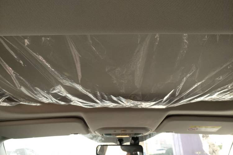 Used Ford Escort 2021 1.5L Automatic Diamond Edition Headliner