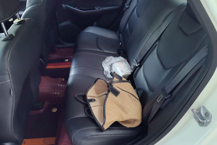 Used Ford Escort 2021 1.5L Automatic Diamond Edition Left Rear Seat