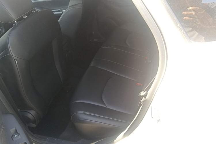 Used Ford Escort 2021 1.5L Automatic Diamond Edition Left Rear Seat