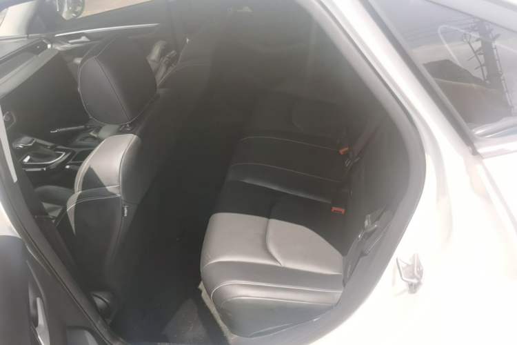 Used Ford Escort 2021 1.5L Automatic Diamond Edition Left Rear Seat