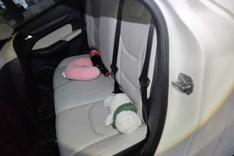 Used Ford Escort 2021 1.5L Automatic Diamond Edition Left Rear Seat
