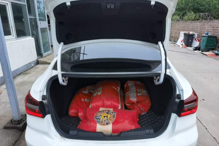 Used Ford Escort 2021 1.5L Automatic Diamond Edition Trunk
