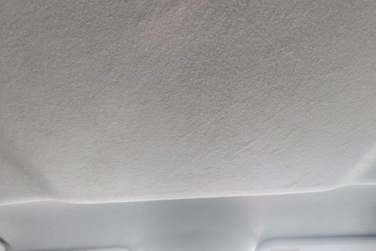 Used Ford Everest 2016 2.0T Gasoline Automatic 4x4 Elite Edition Headliner