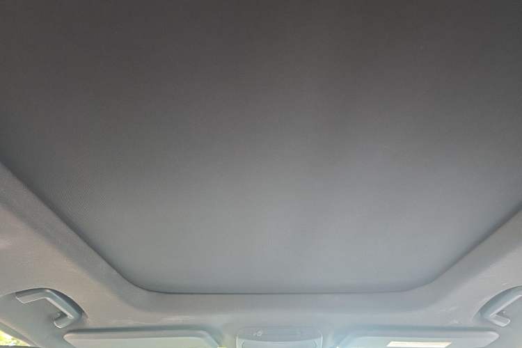 Used Ford Everest 2016 2.0T Gasoline Automatic 4x4 Flagship Edition Headliner