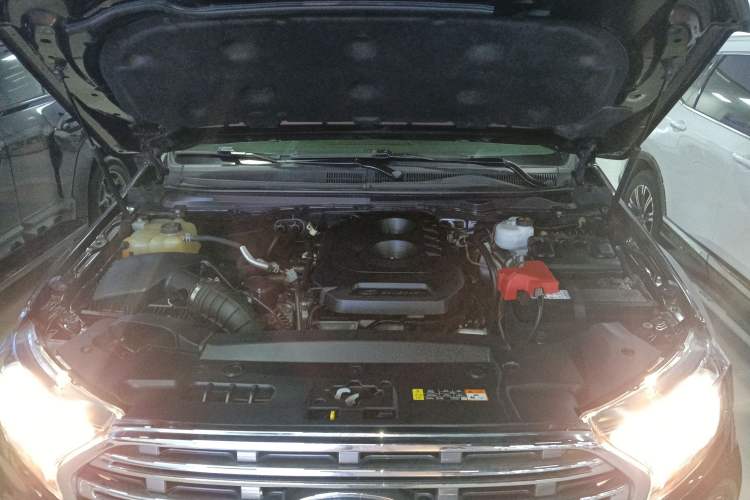 Used Ford Everest 2019 2.0T Gasoline Automatic 4x4 Luxury Edition 5 Seats Engine Bay