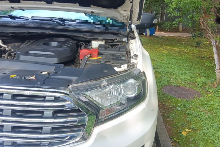 Used Ford Everest 2019 2.0T Gasoline Automatic 4x4 Luxury Edition 5 Seats Engine Bay Left