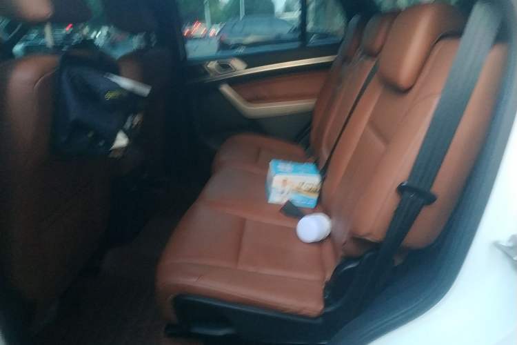 Used Ford Everest 2020 2.3T Gasoline Automatic 4WD Luxury Edition 5 Seats Left Rear Seat