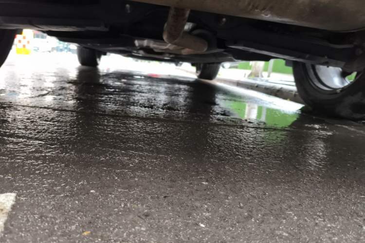 Used Ford EVOS 2022 EcoBoost 245 Sport Edition Chassis Rear
