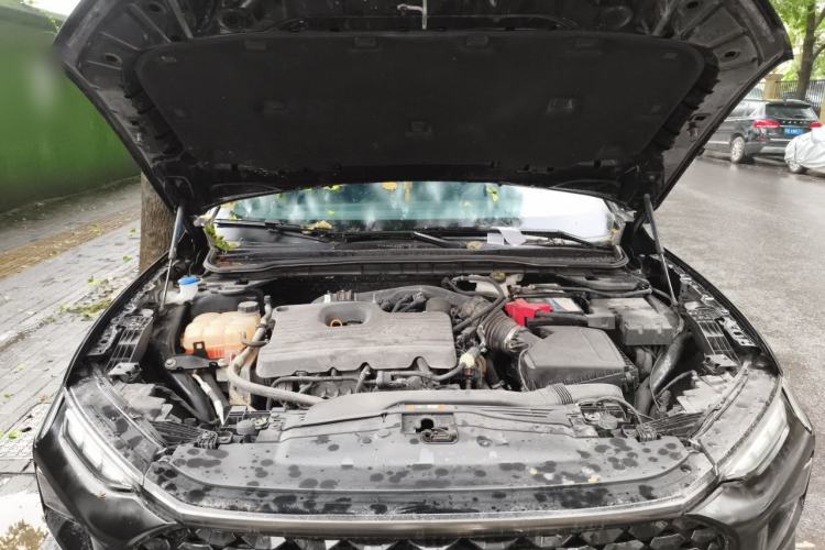 Used Ford EVOS 2022 EcoBoost 245 Sport Edition Engine Bay