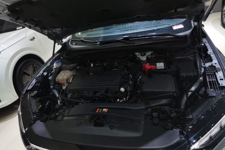 Used Ford EVOS 2022 EcoBoost 245 First Edition Limited Edition Engine Bay