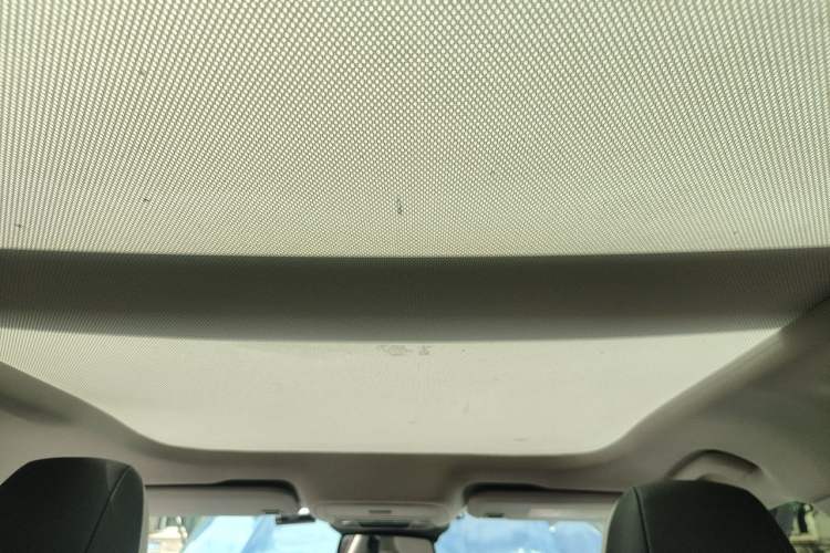 Used Ford EVOS 2022 EcoBoost 245 Tech Edition Headliner