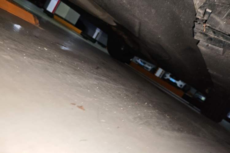Used Ford EVOS 2022 EcoBoost 245 Sport Edition Chassis Front Left