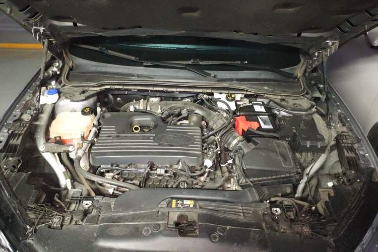 Used Ford EVOS 2022 EcoBoost 245 Sport Edition Engine Bay