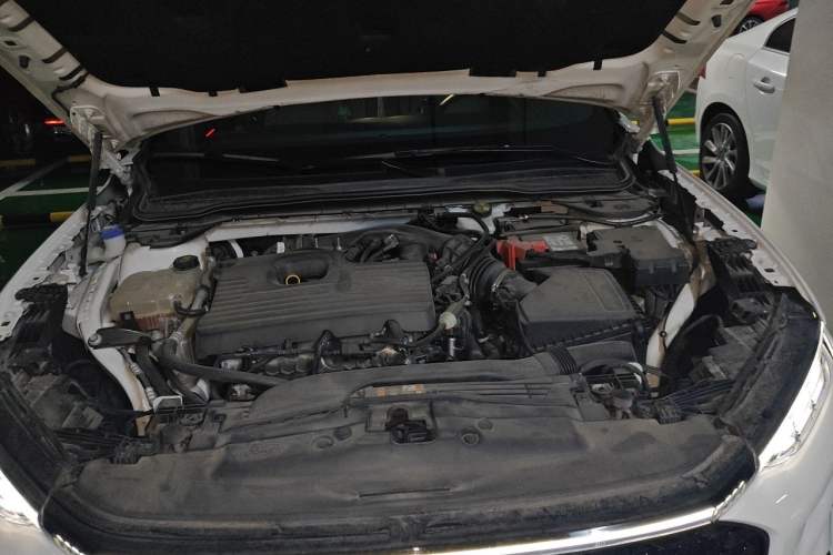 Used Ford EVOS 2022 EcoBoost 245 ST-Line Engine Bay