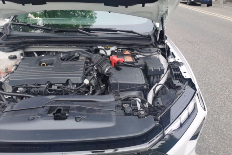 Used Ford EVOS 2022 EcoBoost 245 First Edition Limited Edition Engine Bay Left