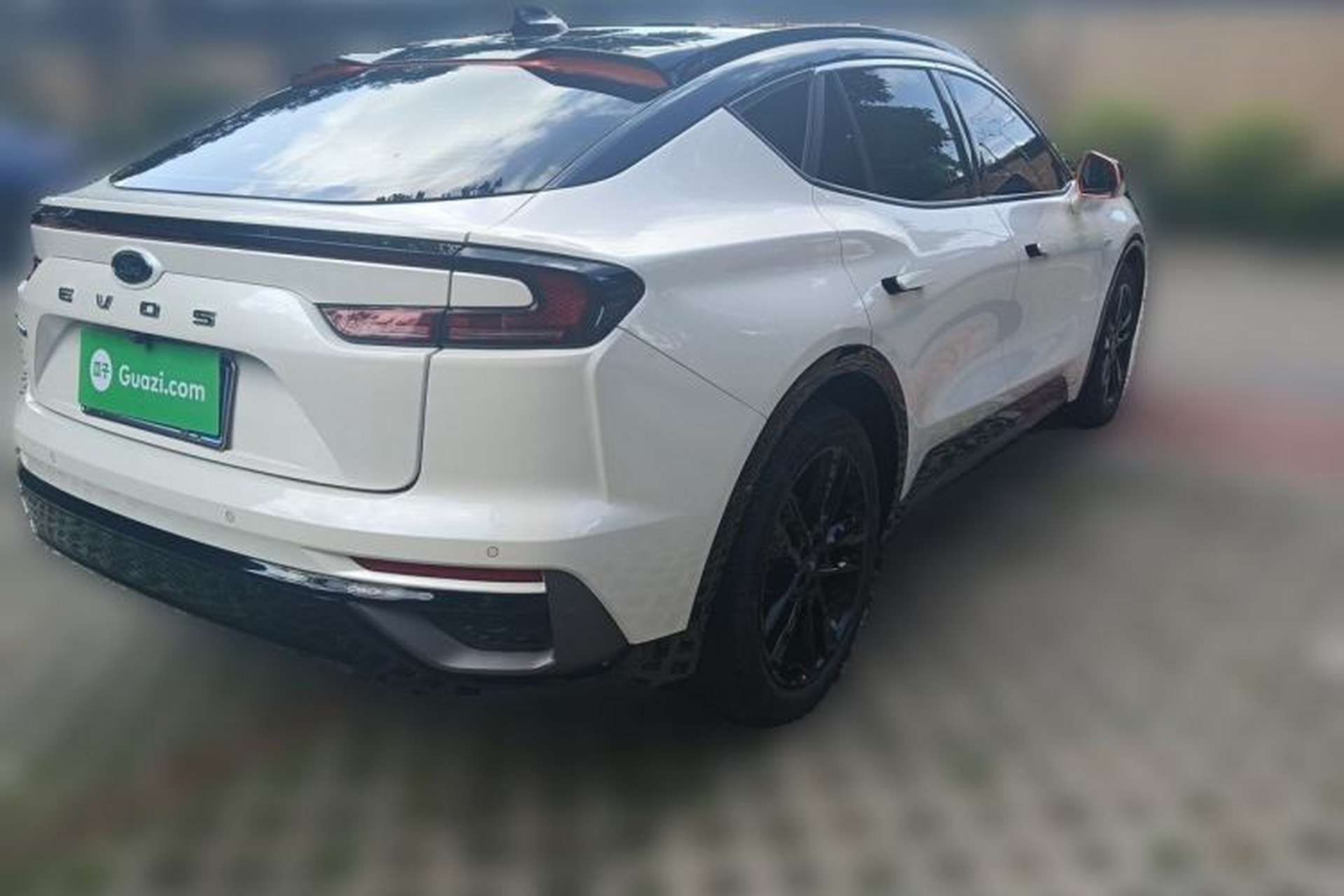 Used Ford EVOS 2022 EcoBoost 245 First Edition Limited Edition Rear Right 45 Deg