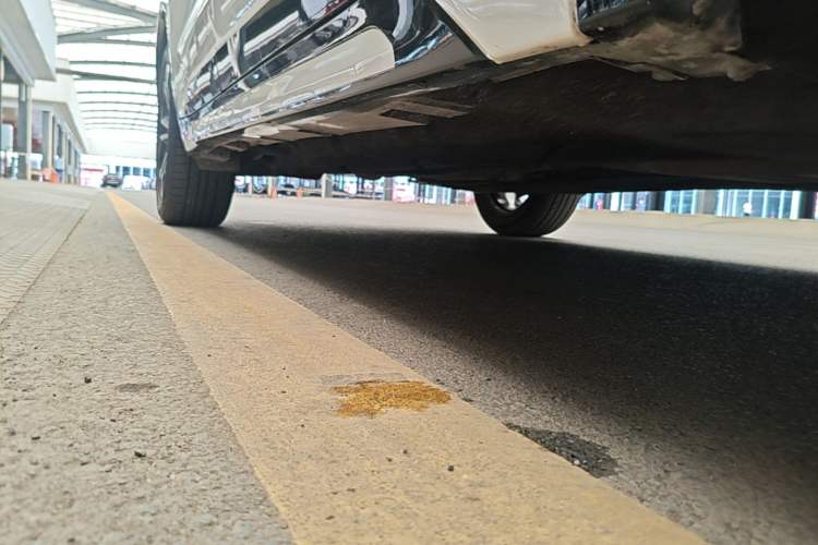 Used Ford EVOS 2022 EcoBoost 245 Sport Edition Right Side Sill
