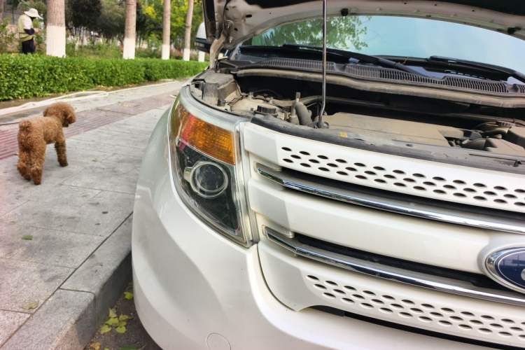 Used Ford Explorer 2013 3.5L Deluxe Model Right Front Headlight