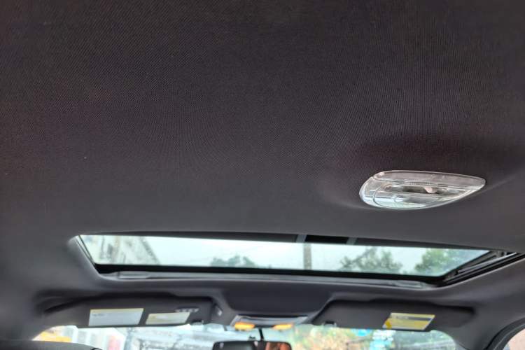 Used Ford F-150  Headliner