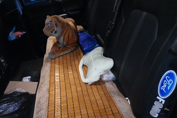 Used Ford F-150  Left Rear Seat