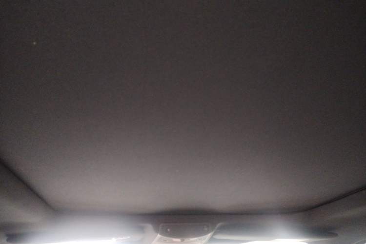 Used Ford F-150  Headliner