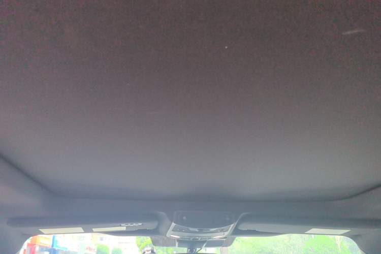 Used Ford F-150  Headliner