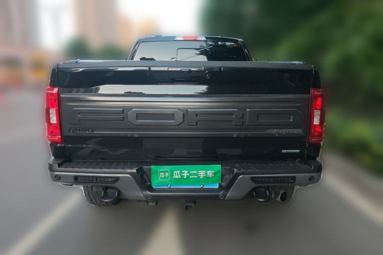 Used Ford F-150  Rear