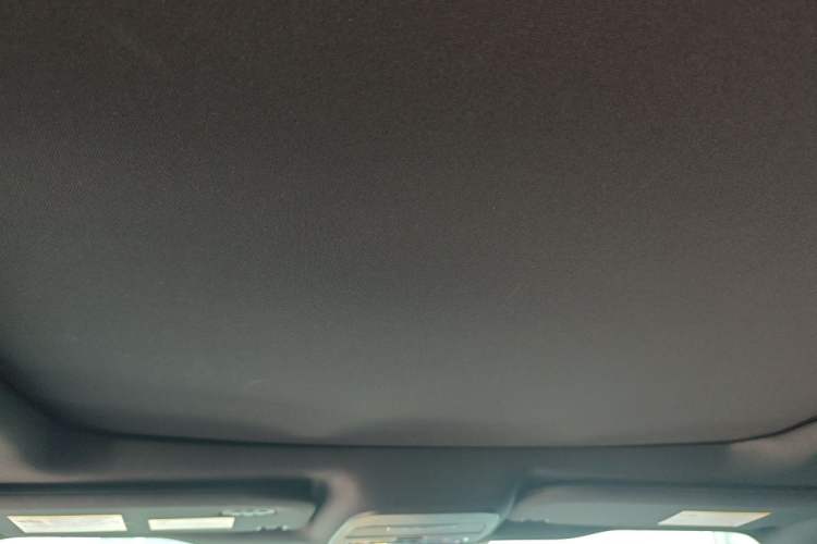 Used Ford F-150  Headliner
